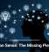 Common Sense: The Missing Piece in AI