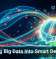 Turning Big Data Into Smart Decisions